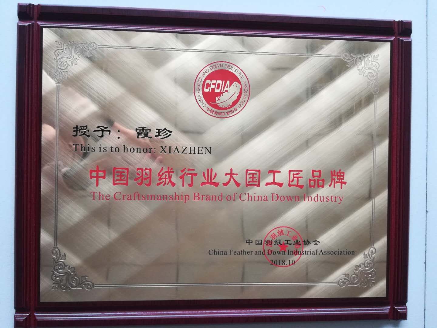 中国羽绒行业大国工匠品牌